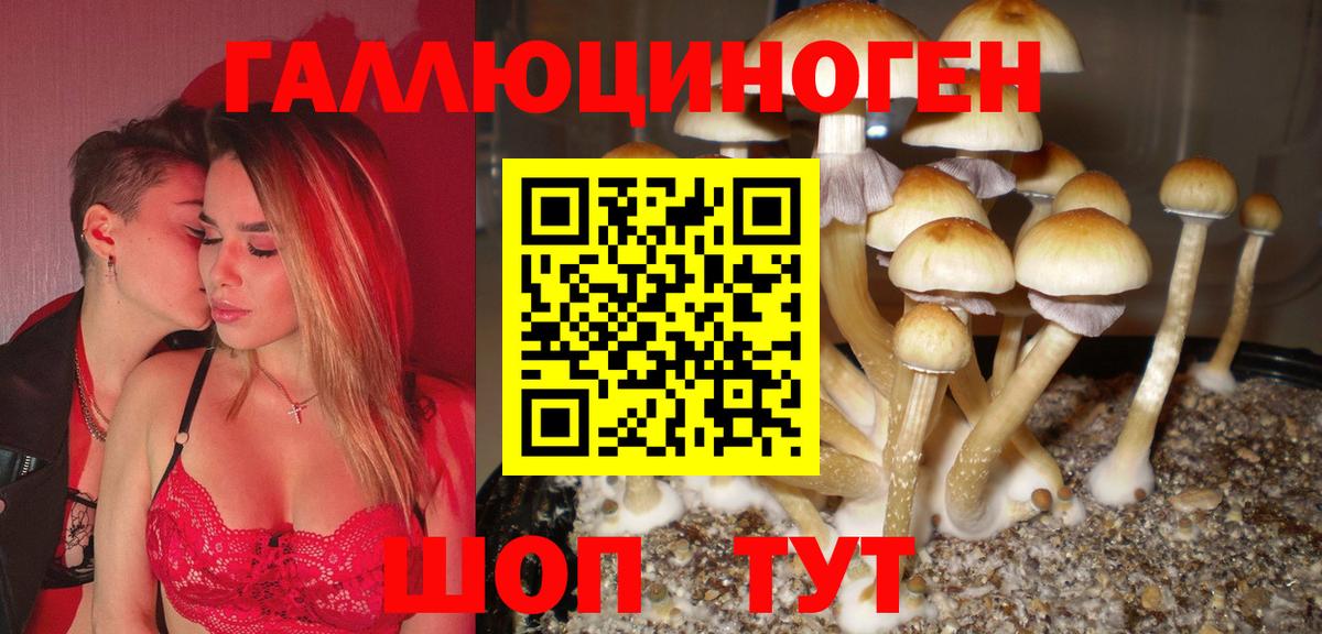 Биробиджан  Псилоцибиновые грибы прущие грибы  Вход с VPN 